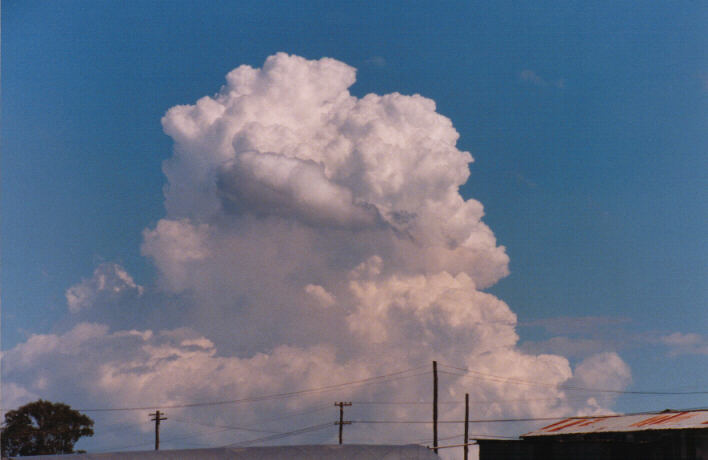 thunderstorm cumulonimbus_calvus : Schofields, NSW   14 March 1999