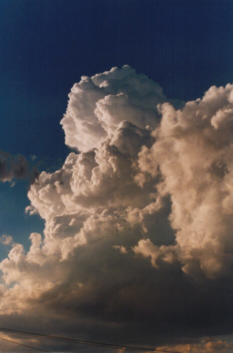 thunderstorm cumulonimbus_calvus : Schofields, NSW   14 March 1999