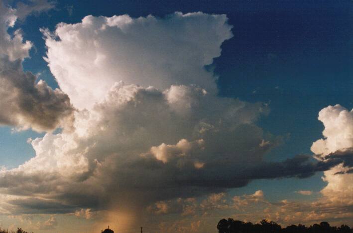 thunderstorm cumulonimbus_calvus : Schofields, NSW   14 March 1999