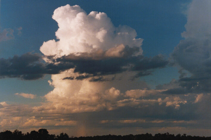 thunderstorm cumulonimbus_calvus : Schofields, NSW   14 March 1999