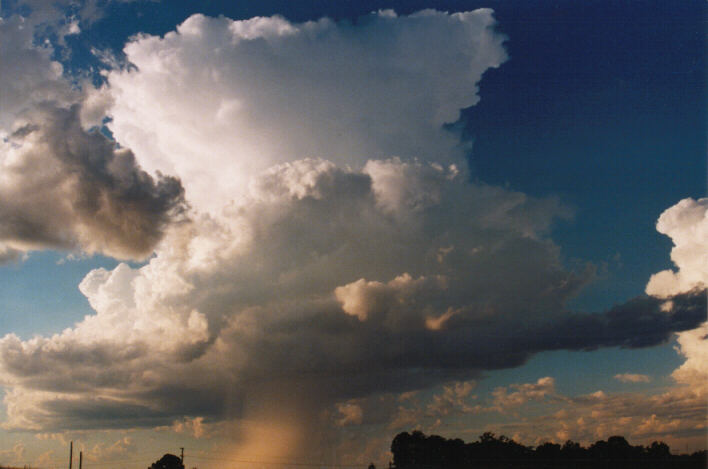 thunderstorm cumulonimbus_calvus : Schofields, NSW   14 March 1999