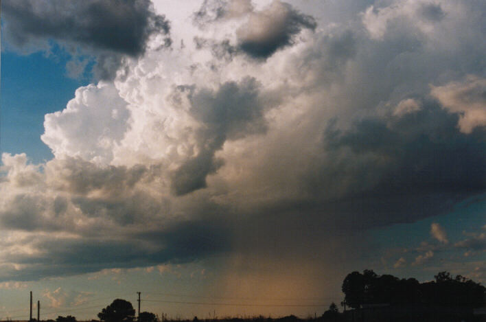 thunderstorm cumulonimbus_calvus : Schofields, NSW   14 March 1999