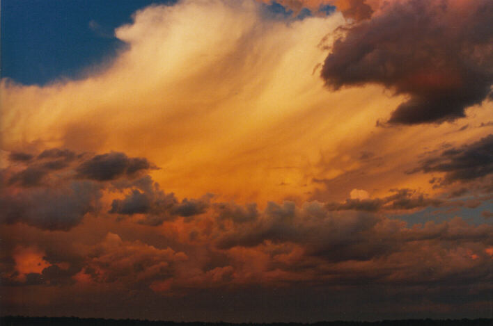 thunderstorm cumulonimbus_incus : Schofields, NSW   14 March 1999