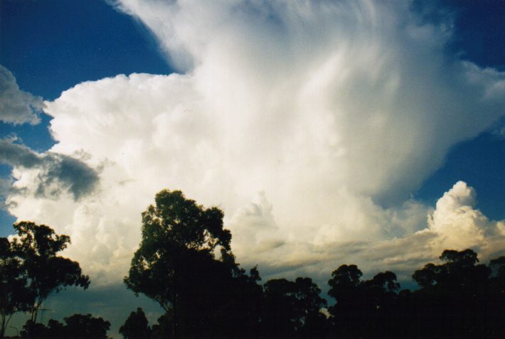 anvil thunderstorm_anvils : Oakhurst, NSW   14 March 1999