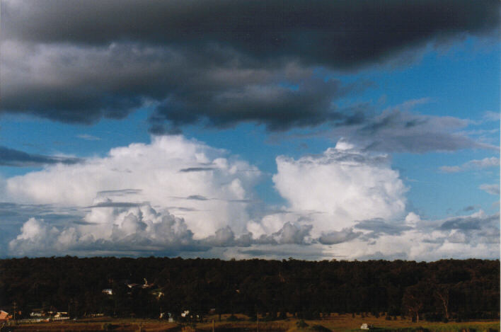 thunderstorm cumulonimbus_calvus : Schofields, NSW   10 April 1999