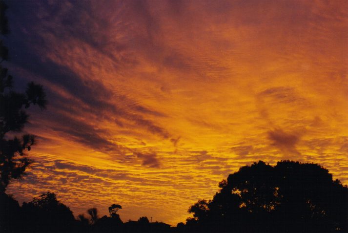 altocumulus altocumulus_cloud : Wollongbar, NSW   31 May 1999