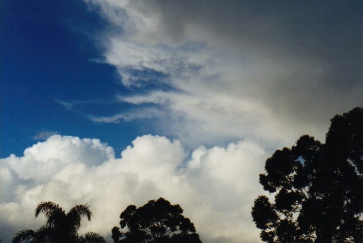 cumulus mediocris : Wollongbar, NSW   4 June 1999