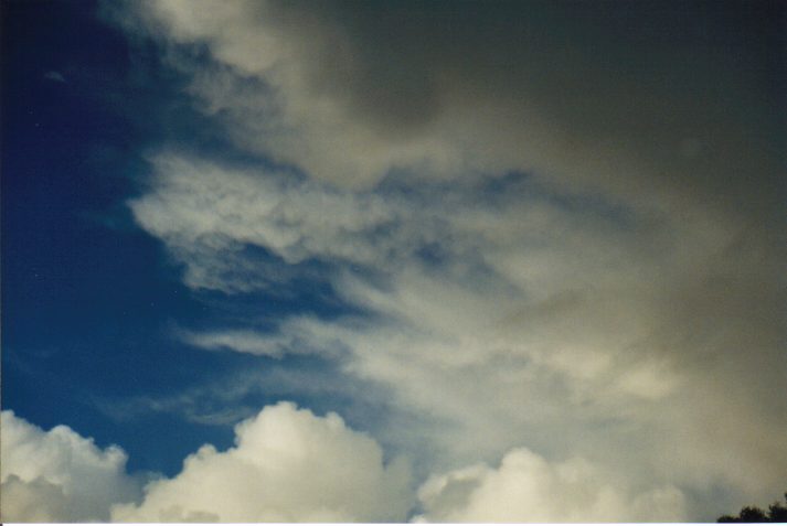 mammatus mammatus_cloud : Wollongbar, NSW   4 June 1999