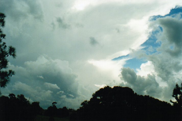 thunderstorm cumulonimbus_incus : Wollongbar, NSW   28 August 1999