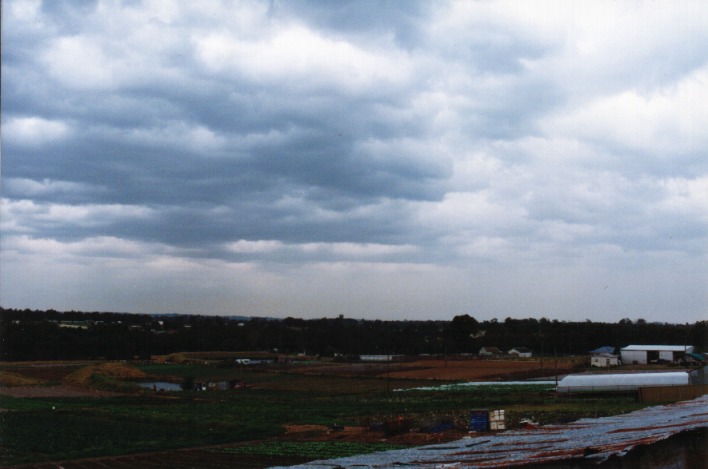 altocumulus altocumulus_cloud : Schofields, NSW   5 September 1999