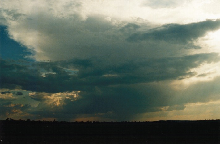 thunderstorm cumulonimbus_incus : Breeza Plains, NSW   25 September 1999