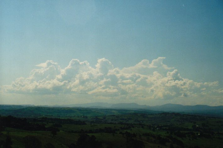 cumulus congestus : McLeans Ridges, NSW   25 September 1999