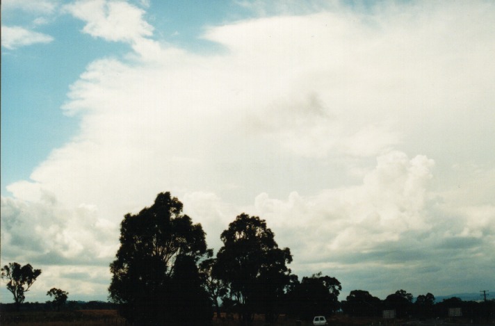 thunderstorm cumulonimbus_incus : Moonbi Hill, NSW   26 September 1999