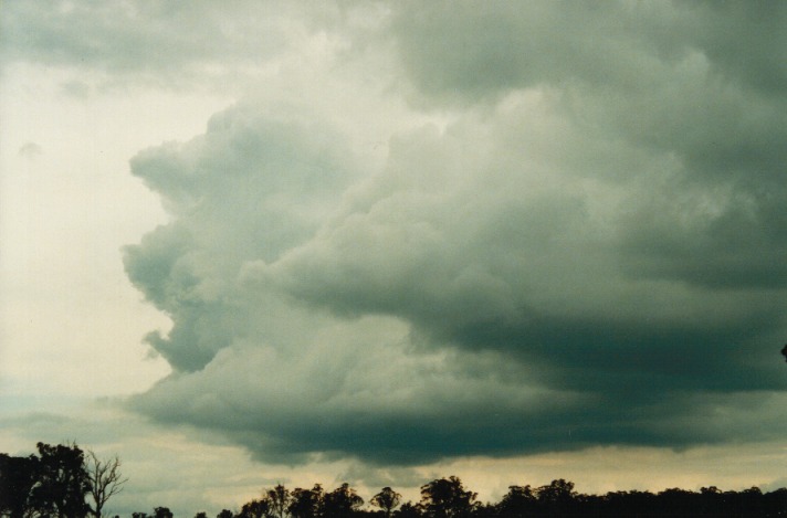 cumulonimbus thunderstorm_base : Bendemeer, NSW   26 September 1999