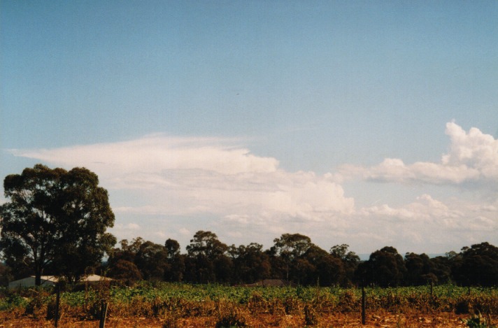 cumulus congestus : Schofields, NSW   29 September 1999