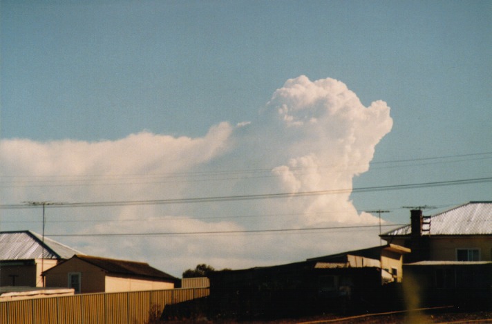 thunderstorm cumulonimbus_calvus : Schofields, NSW   29 September 1999