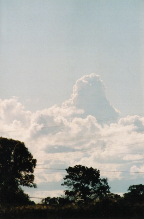 thunderstorm cumulonimbus_calvus : Schofields, NSW   29 September 1999