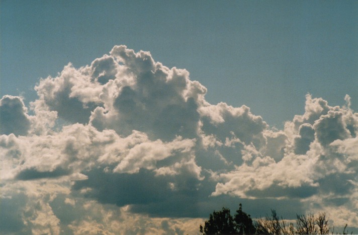 cumulus congestus : Schofields, NSW   29 September 1999