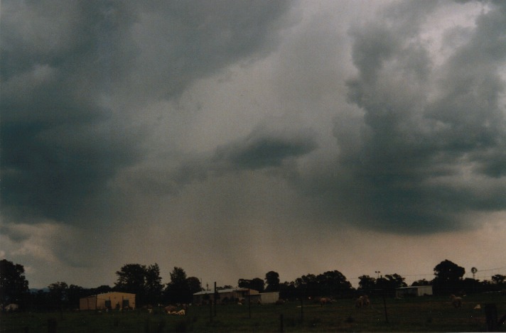 raincascade precipitation_cascade : Richmond, NSW   1 October 1999