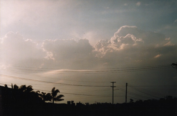 thunderstorm cumulonimbus_calvus : Schofields, NSW   2 October 1999