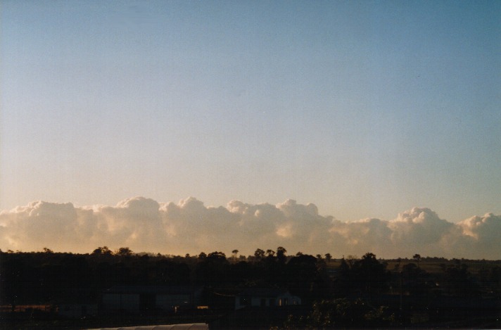 cumulus congestus : Schofields, NSW   12 October 1999