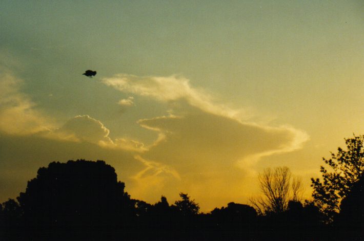 anvil thunderstorm_anvils : Wollongbar, NSW   16 October 1999