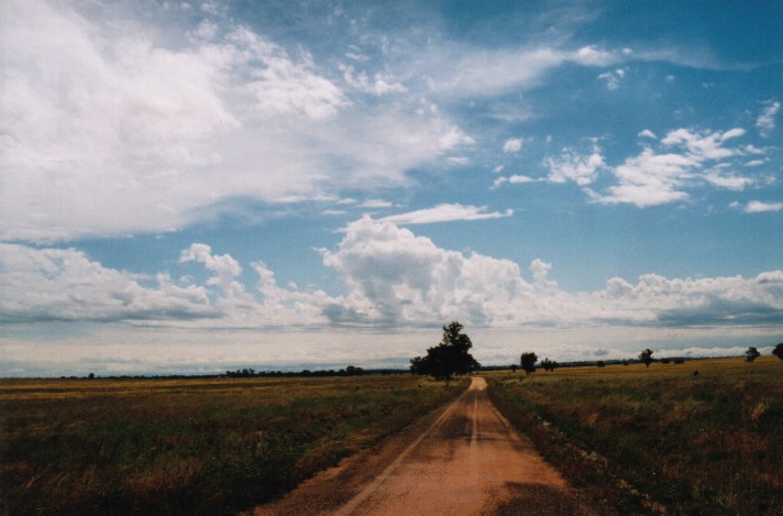 cirrus cirrus_cloud : Dubbo, NSW   23 October 1999