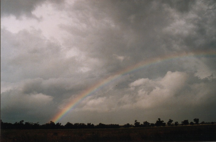 stratocumulus stratocumulus_cloud : Gilgandra, NSW   23 October 1999