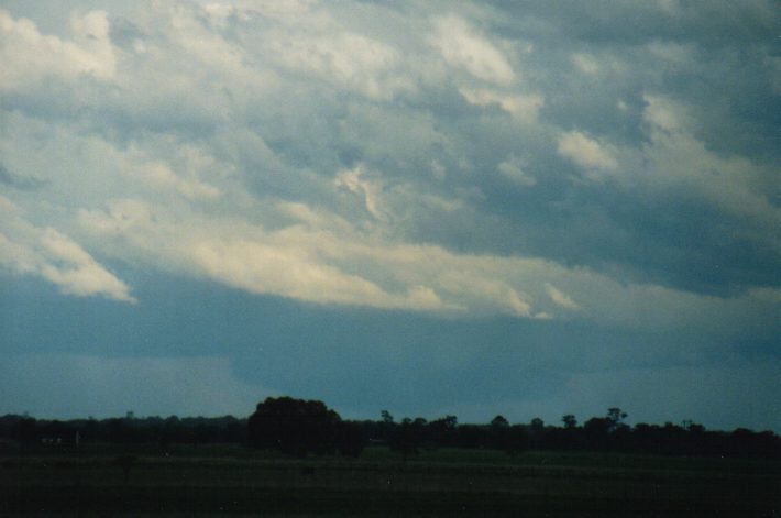 cumulonimbus thunderstorm_base : E of Casino, NSW   24 October 1999