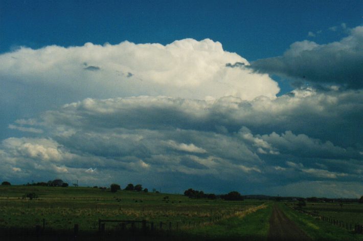 thunderstorm cumulonimbus_incus : E of Casino, NSW   24 October 1999