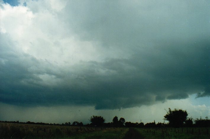raincascade precipitation_cascade : Tatham, NSW   24 October 1999