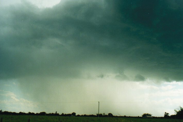 cumulonimbus thunderstorm_base : Tatham, NSW   24 October 1999