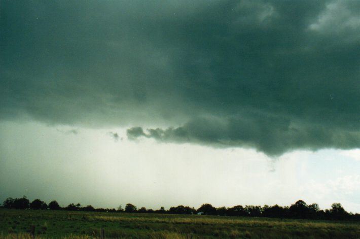 cumulonimbus thunderstorm_base : Tatham, NSW   24 October 1999