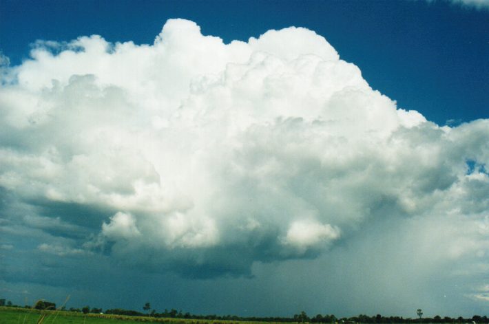 thunderstorm cumulonimbus_incus : Tatham, NSW   24 October 1999