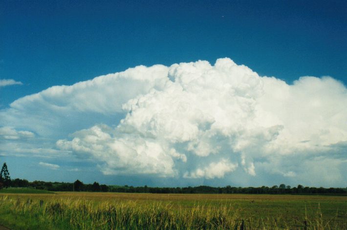 thunderstorm cumulonimbus_incus : S of Lismore, NSW   24 October 1999