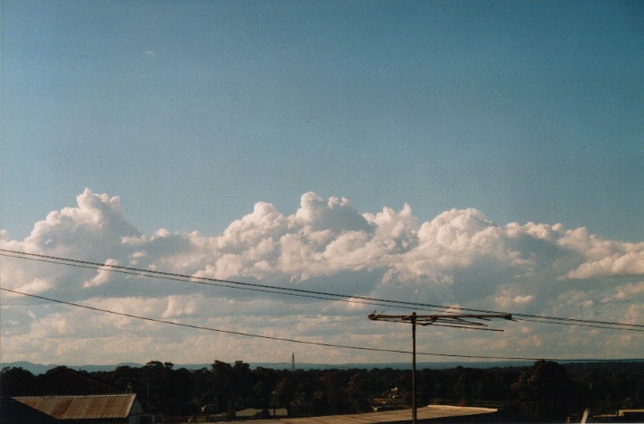 cumulus mediocris : Schofields, NSW   27 October 1999