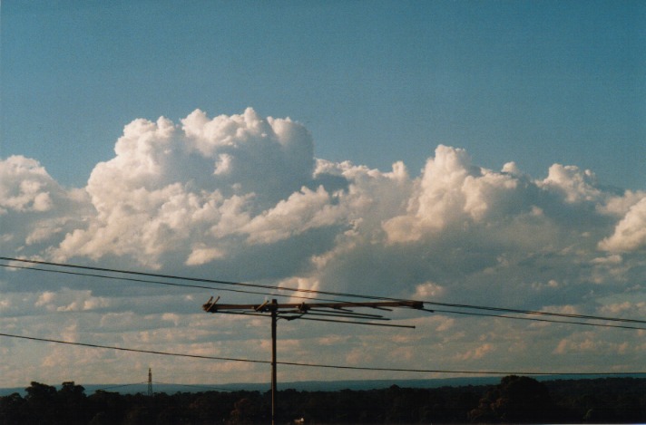 cumulus mediocris : Schofields, NSW   27 October 1999