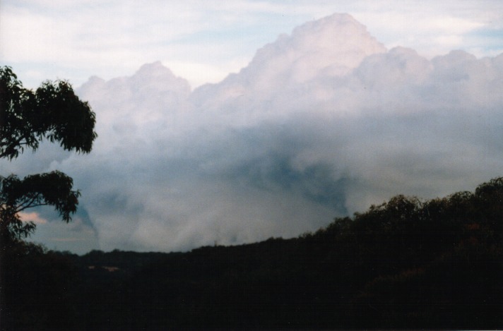 thunderstorm cumulonimbus_calvus : St Ives, NSW   31 October 1999