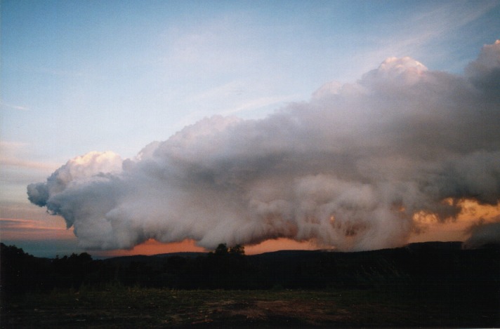 thunderstorm cumulonimbus_calvus : Terry Hills, NSW   31 October 1999