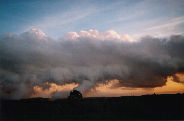 thunderstorm cumulonimbus_calvus : Terry Hills, NSW   31 October 1999