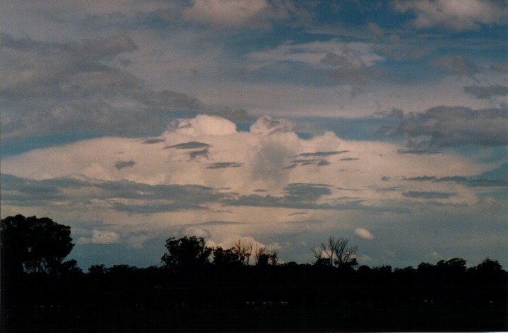 thunderstorm cumulonimbus_incus : Richmond, NSW   6 November 1999