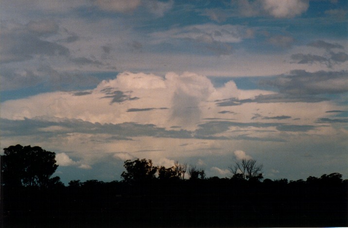 cumulonimbus supercell_thunderstorm : Richmond, NSW   6 November 1999