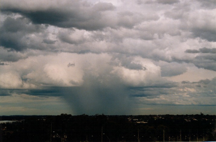 raincascade precipitation_cascade : Nepean UWS, NSW   6 November 1999