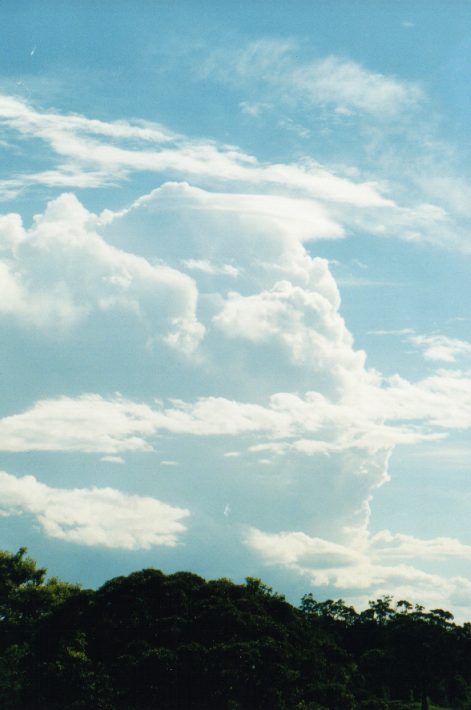 pileus pileus_cap_cloud : near Lismore, NSW   7 November 1999