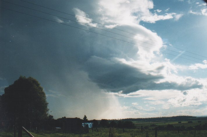 thunderstorm cumulonimbus_incus : Wyrallah, NSW   7 November 1999