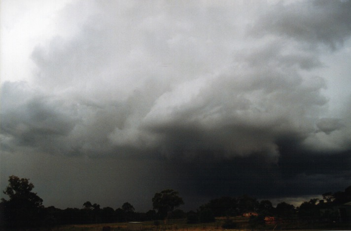 raincascade precipitation_cascade : Nelson, NSW   16 November 1999