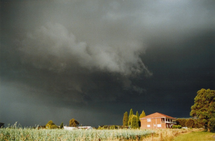 cumulonimbus thunderstorm_base : Kenthurst, NSW   16 November 1999