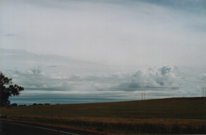 cumulus congestus : near Wellington, NSW   20 November 1999