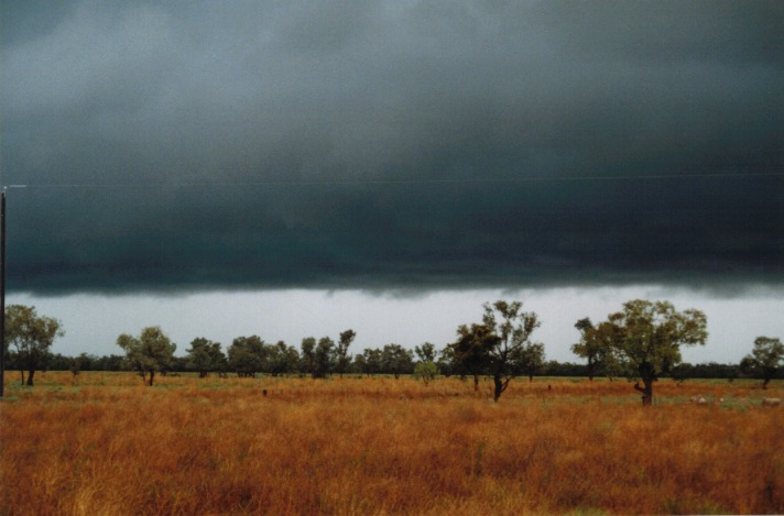 cumulonimbus thunderstorm_base : Barringun, NSW   20 November 1999