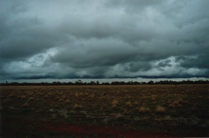 cumulonimbus thunderstorm_base : Barringun, NSW   20 November 1999